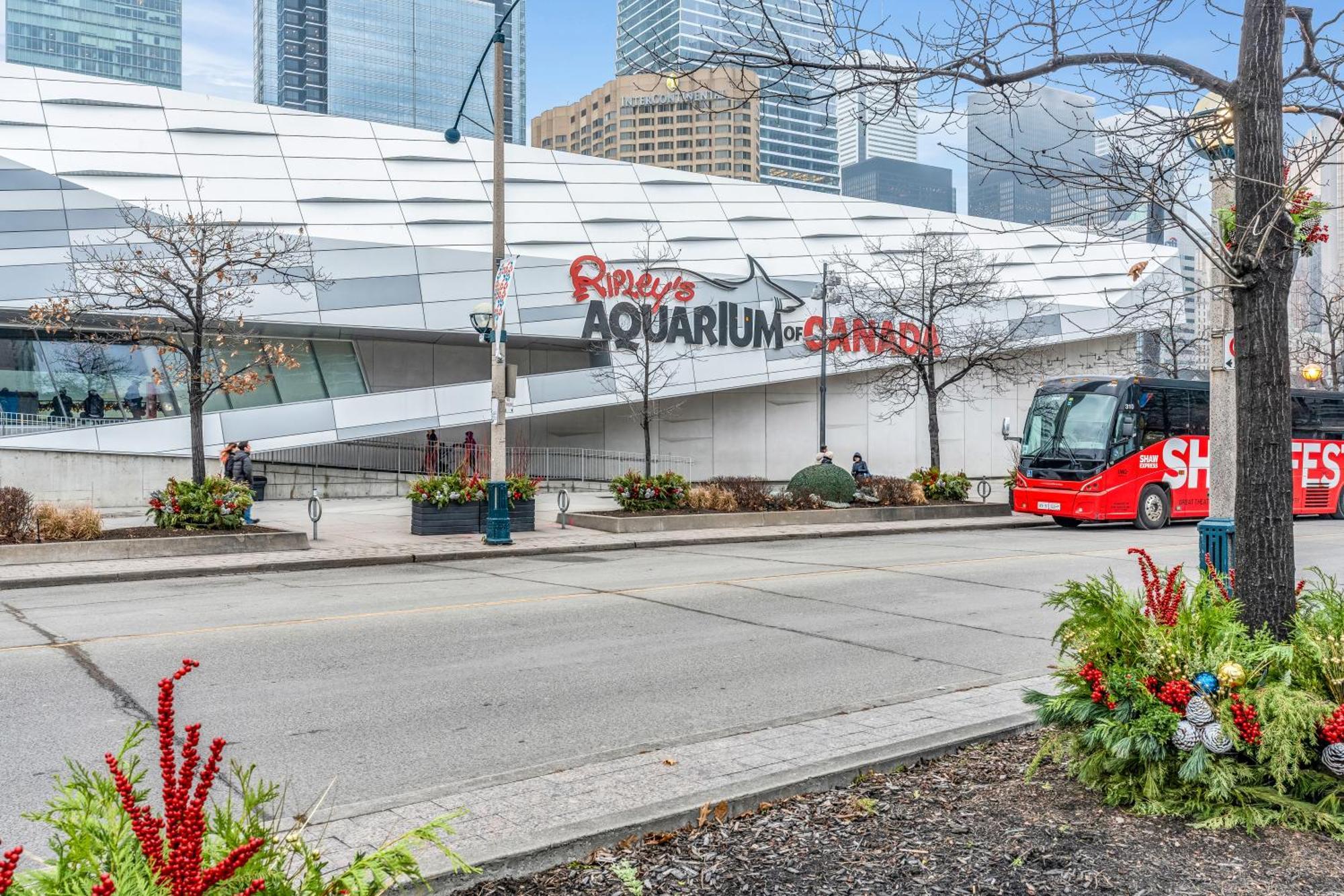 Spadina Modern Suites تورونتو المظهر الخارجي الصورة